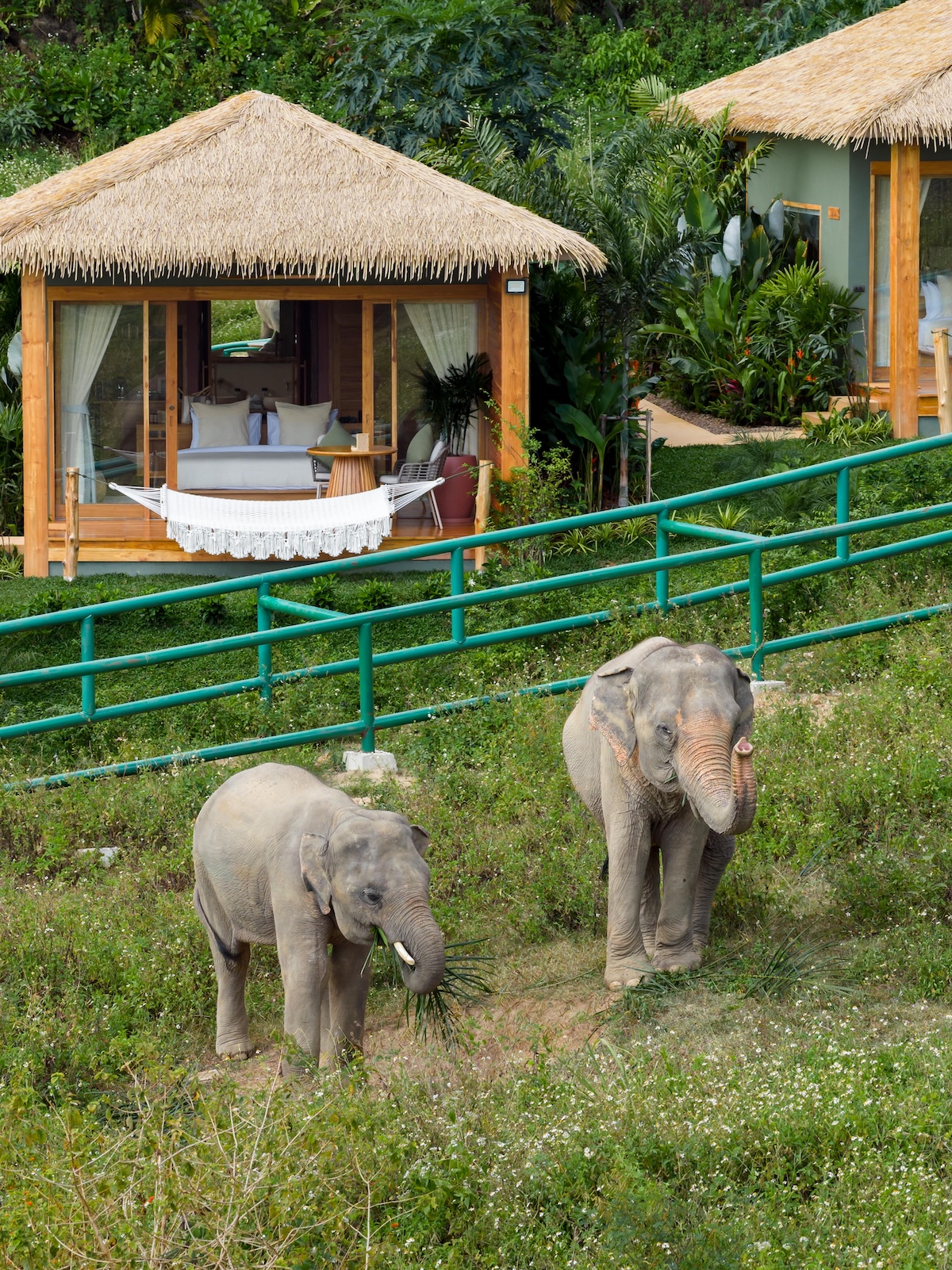 ไวลด์ คอตเทจส์ เอเลเฟนท์ แซงชัวรี รีสอร์ท Wild Cottages Elephant Sanctuary Resort — ภายนอก