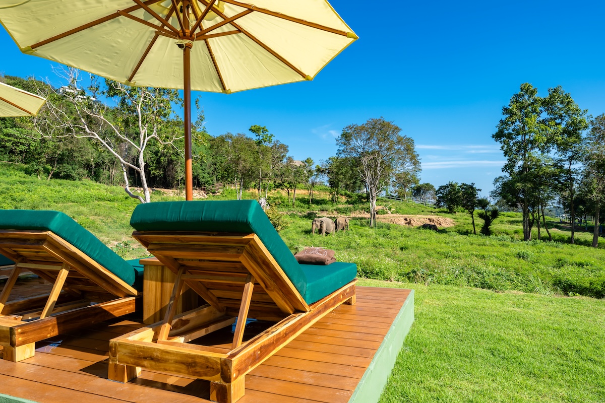 ไวลด์ คอตเทจส์ เอเลเฟนท์ แซงชัวรี รีสอร์ท Wild Cottages Elephant Sanctuary Resort — ภายนอก