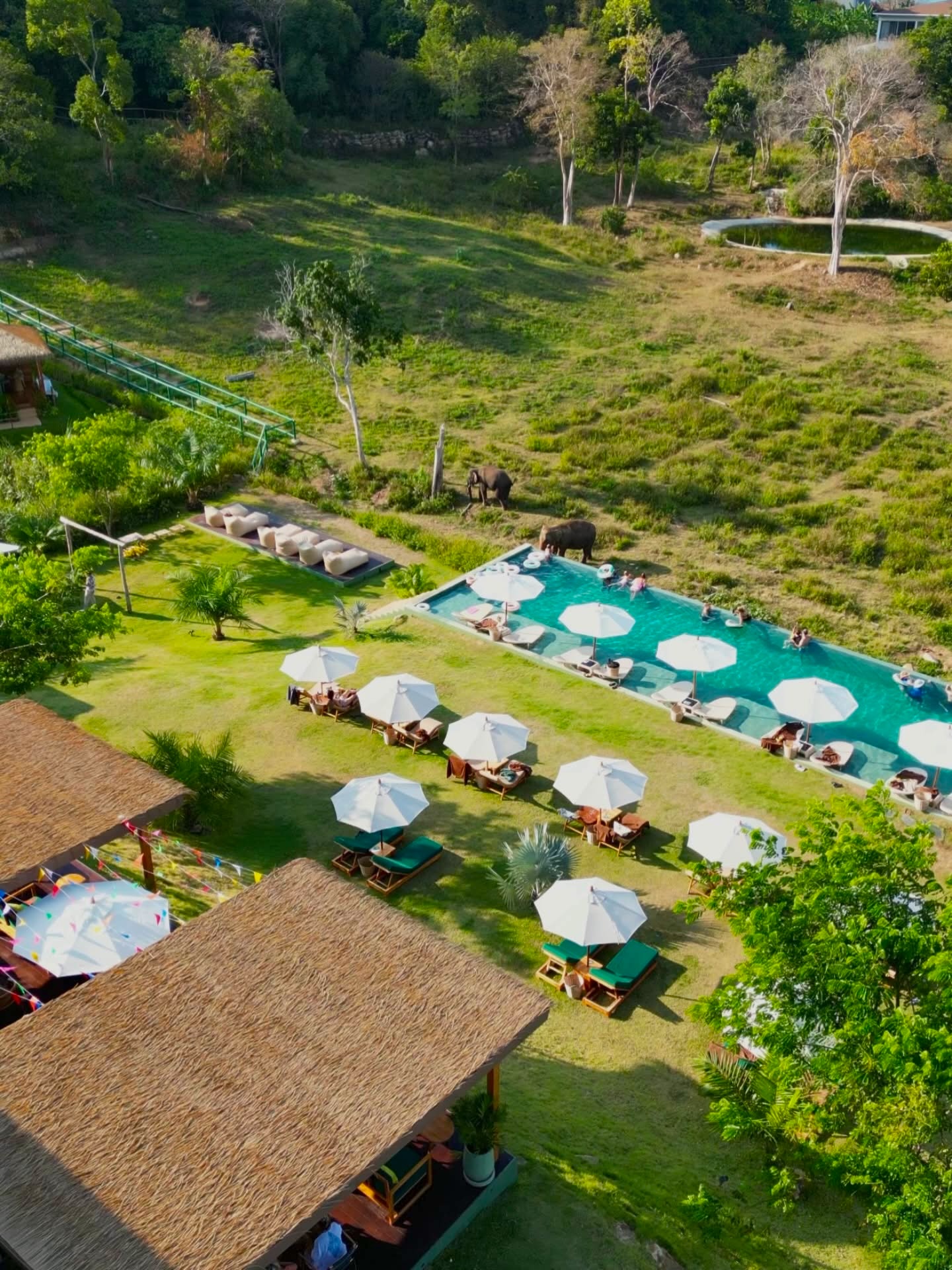ไวลด์ คอตเทจส์ เอเลเฟนท์ แซงชัวรี รีสอร์ท Wild Cottages Elephant Sanctuary Resort — สระว่ายน้ำ